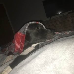 Meet your Posher, Jacquelyn